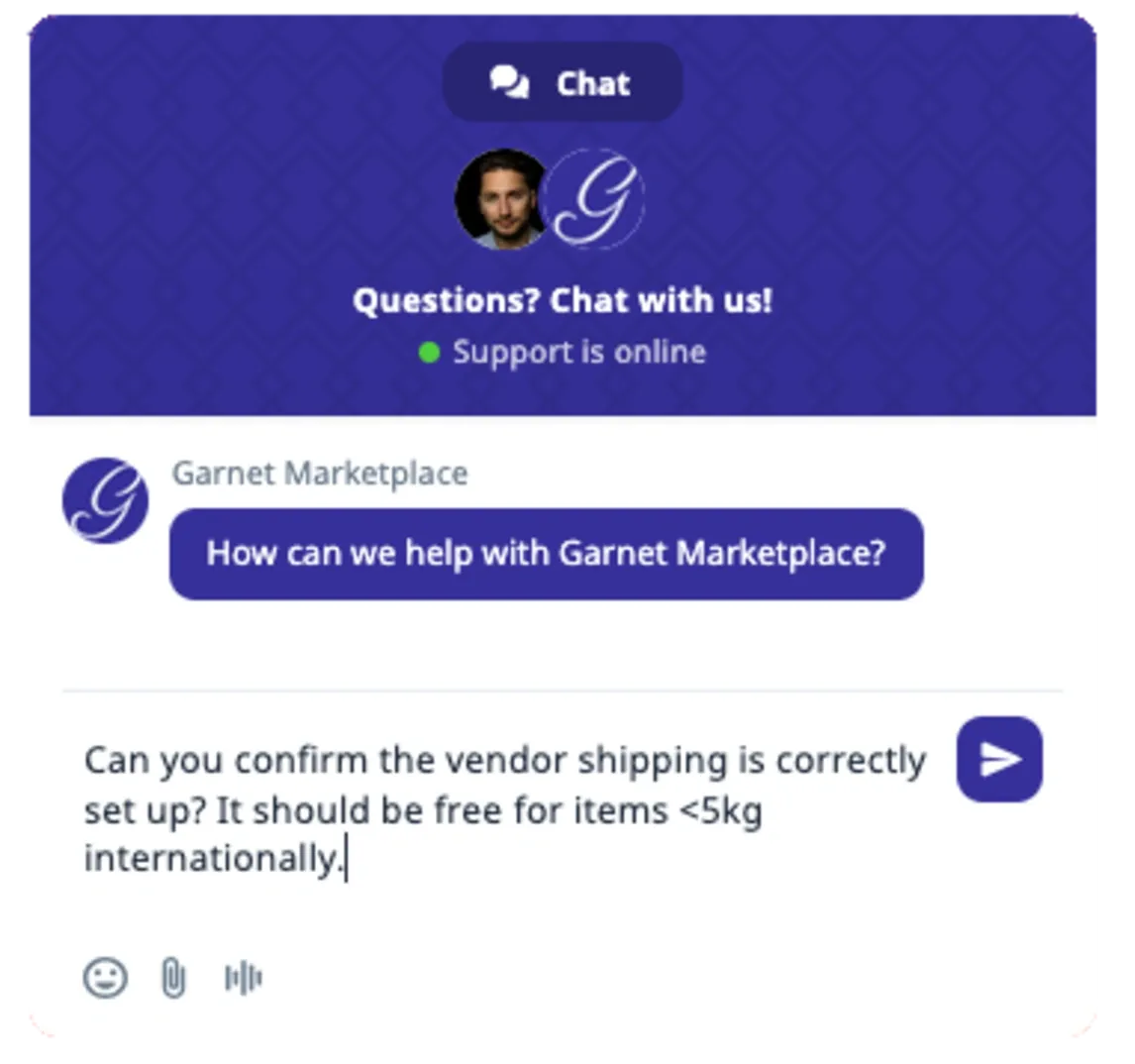 chat widget