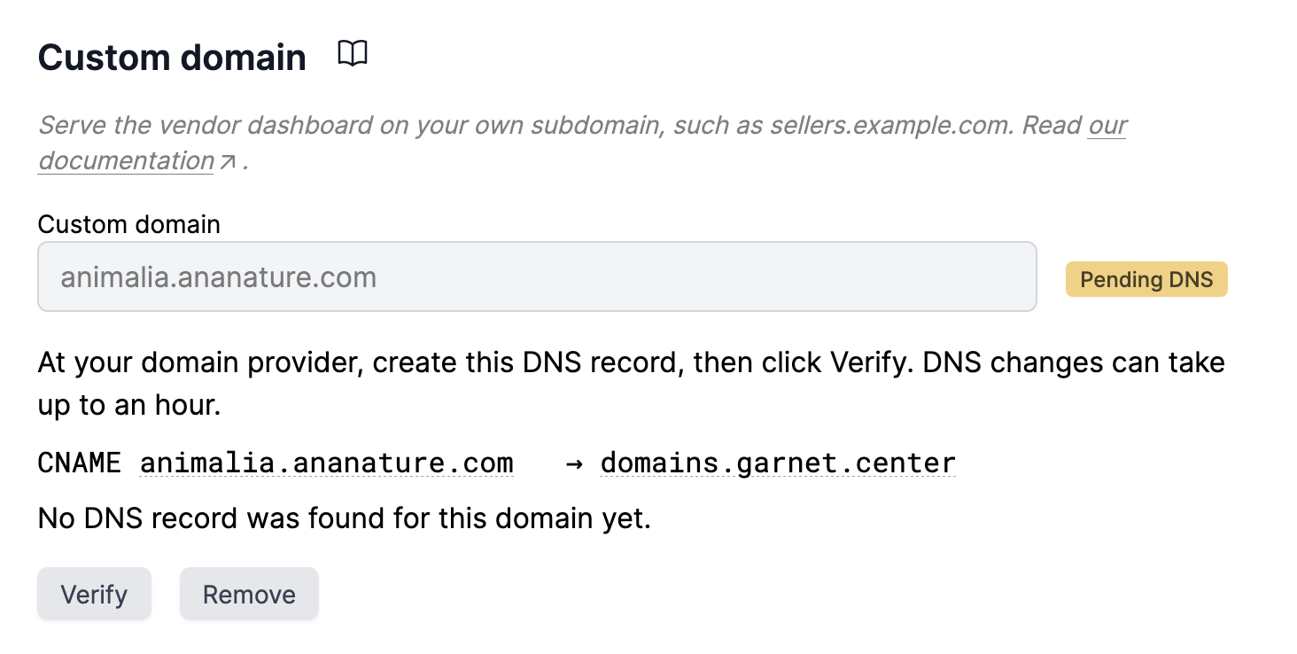 The custom domain waiting for its DNS record