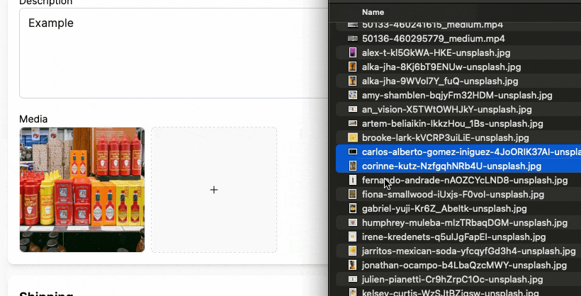 File system drag and drop example