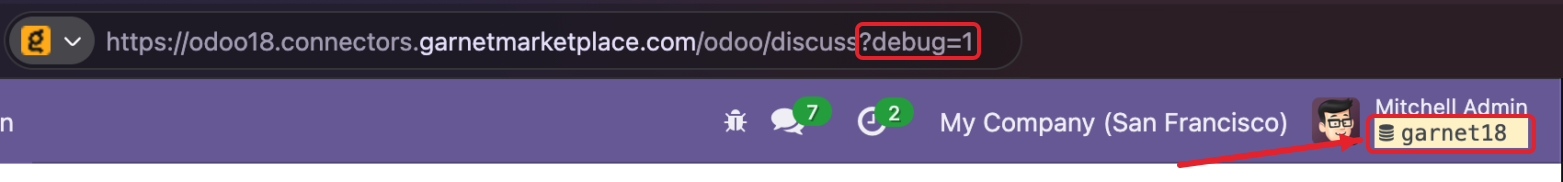 The database name under the user name in Odoo developer mode