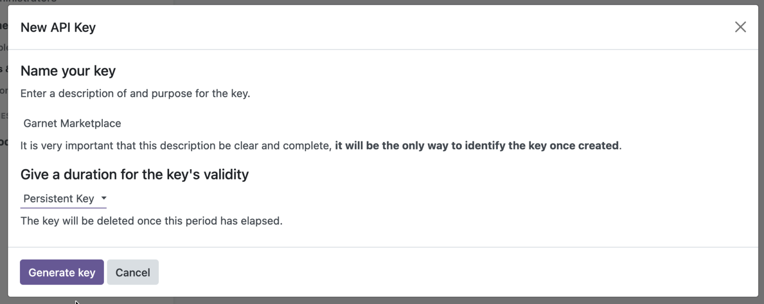 New API Key dialog with a Persistent Key